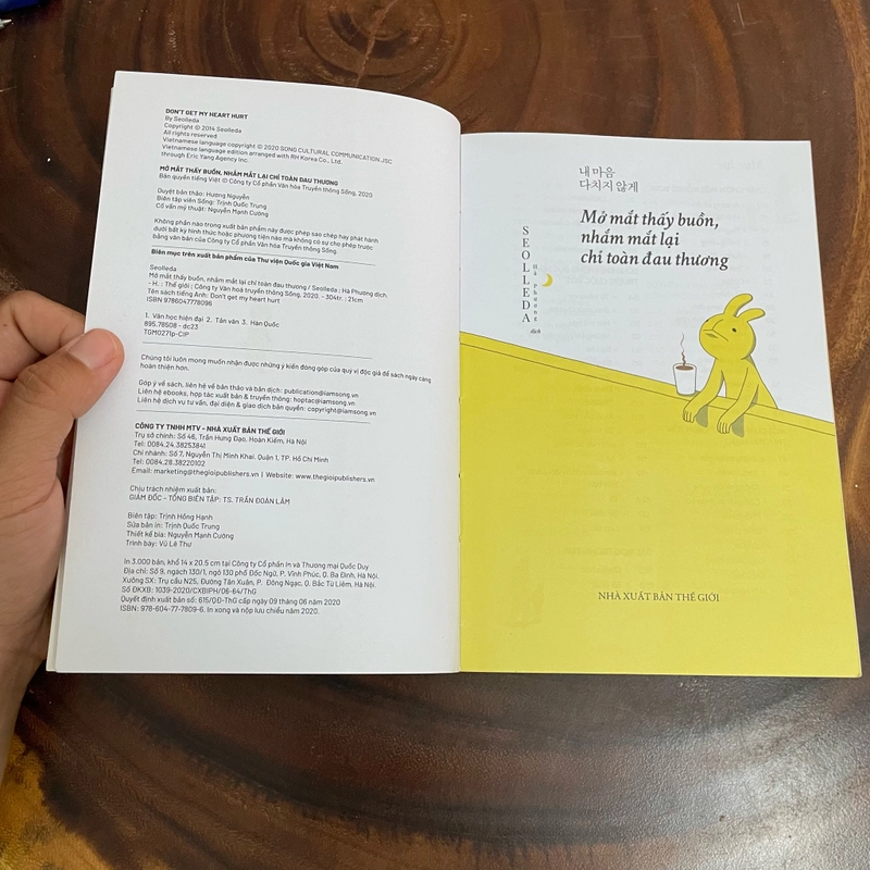II Tựa sách: Mở Mắt Thấy Buồn, Nhắm Mắt Lại Chỉ Toàn Đau Thương - SEOLLEDA - 2020 463345