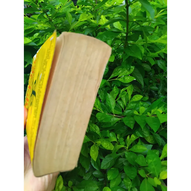 Fire in the lake của Frances Fitzgerrald  1001282