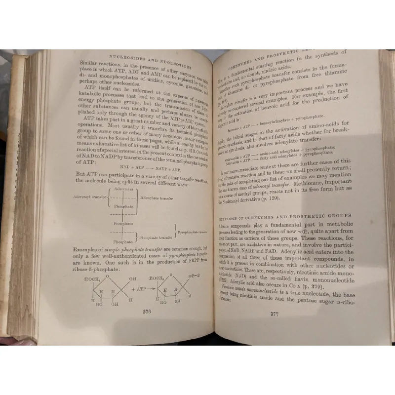 Dynamic Aspects of Biochemistry - Baldwin 628553