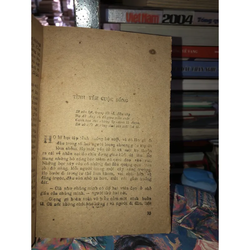 Sự im lặng mầu trắng - Giắc Lănđơn 977171