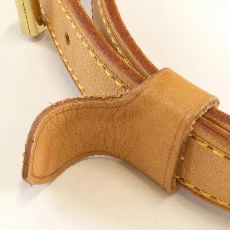 Túi xách vai Louis Vuitton Monogram Randonne PM M42243 - Hàng hiệu Chính hãng 767624