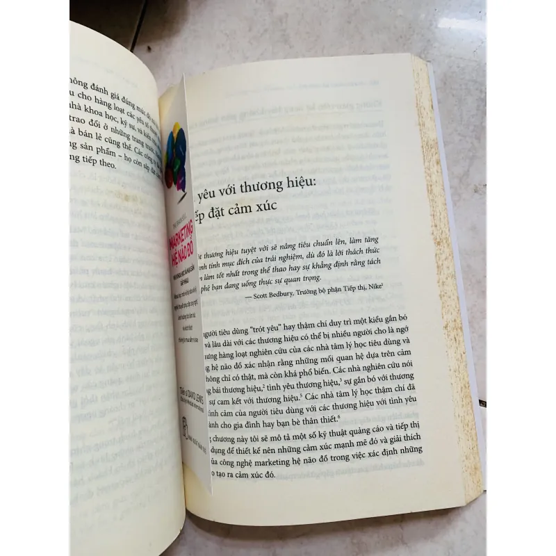 Marketing hệ não đồ  800519