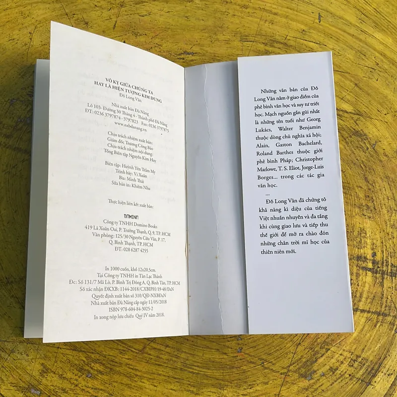 VÔ KỴ GIỮA CHÚNG TA HAY LÀ HIỆN TƯỢNG KIM DUNG- ĐỖ LONG VÂN 735730