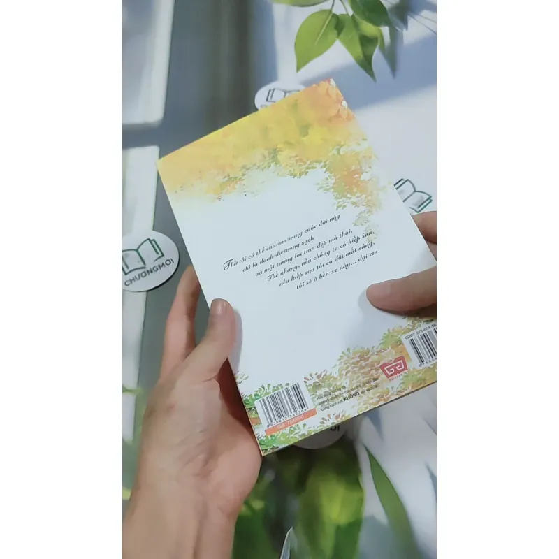 Bến Xe - Thương Thái Vi 744709