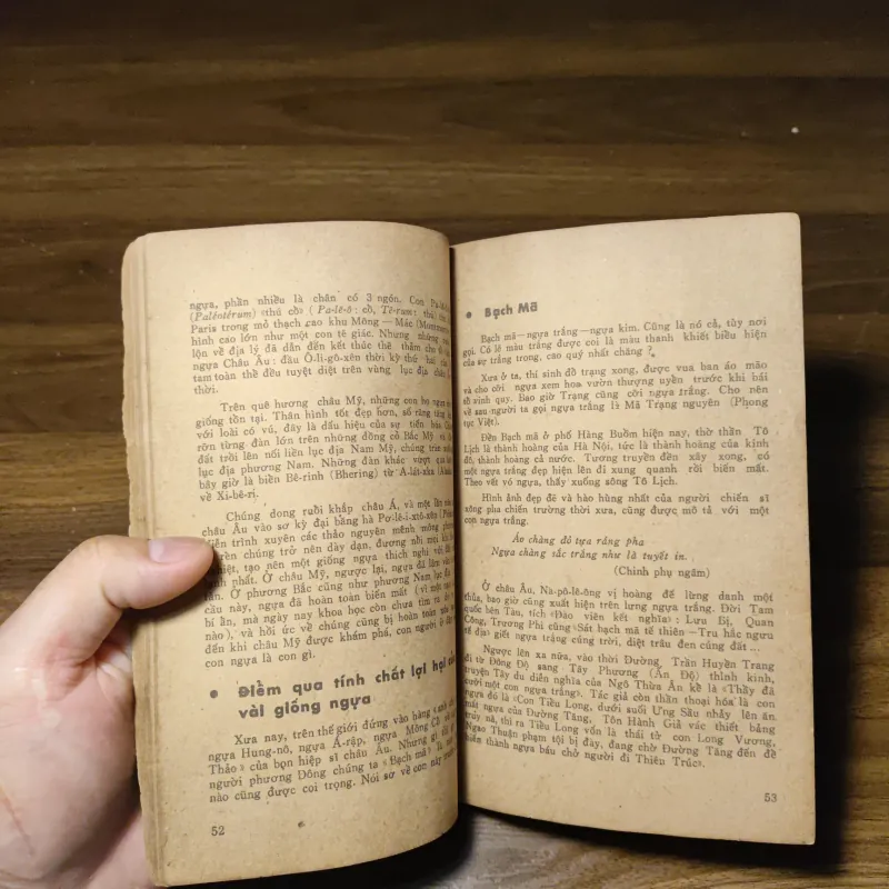 Các Con Vật Trên Rừng Dưới Biển - Đoàn Giỏi 1022201