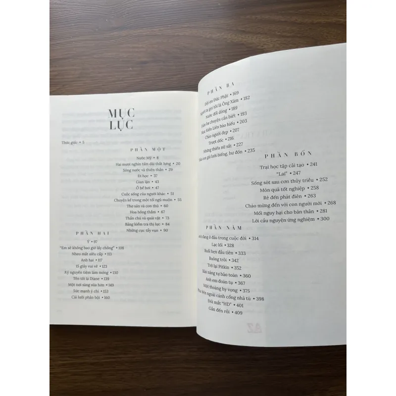 Nhà Tranh - Ly Tran 995159