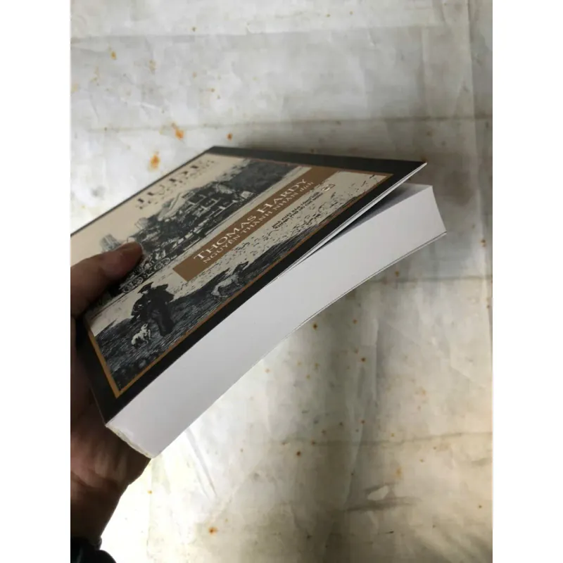 Jude Kẻ Vô Danh - Thomas Hardy 778009