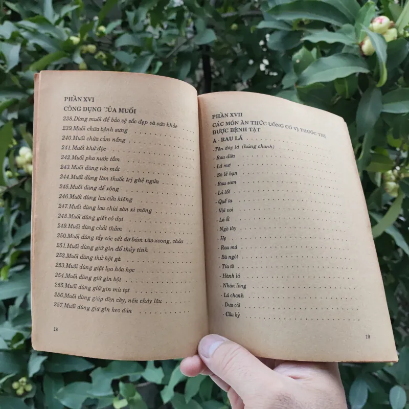 Mẹo Vặt Cho Người Đảm Đang - Nguyễn Duy - Thuỳ Minh 759351