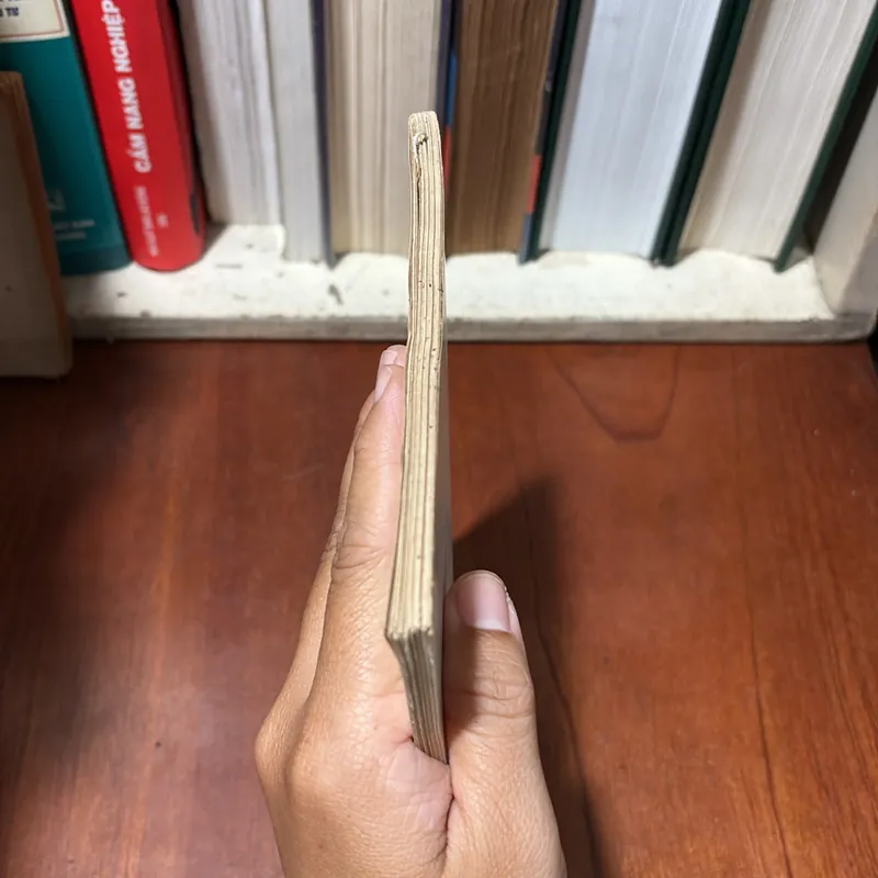 II Thế Giới: Sơ Lược Về Nước Cộng Hoà Hồi Giáo Iran - 1994 720783