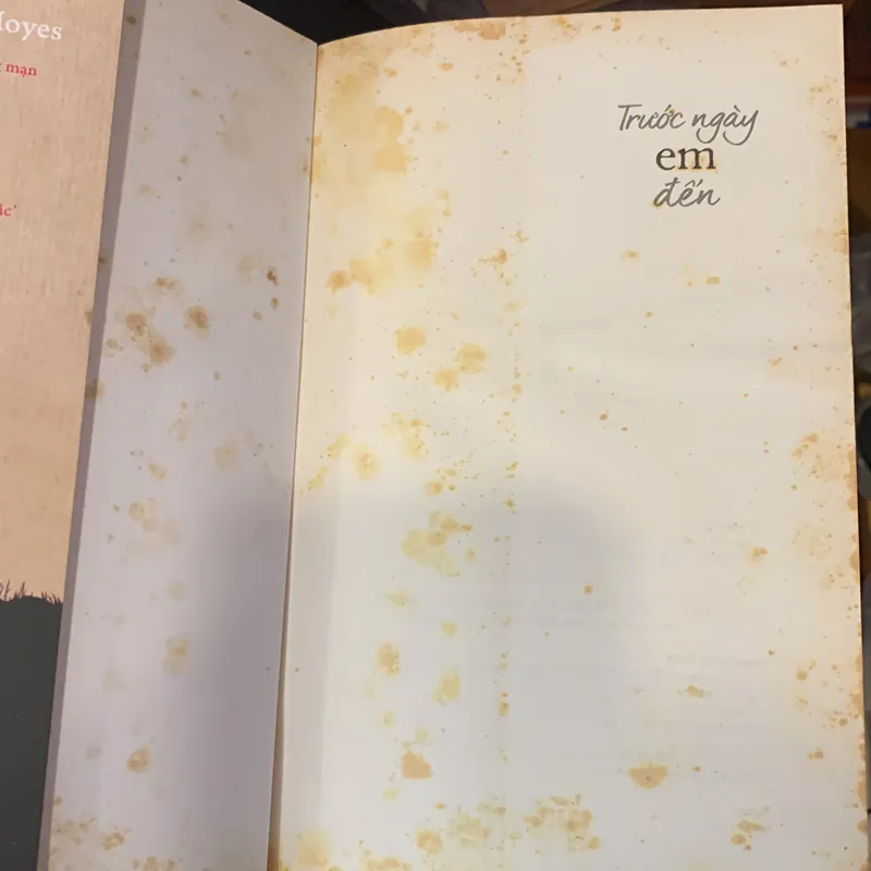 Trước ngày em đến - Jojo Moyes 722885