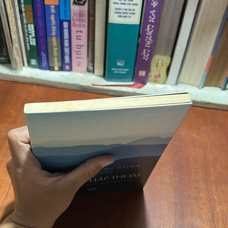 Ba Bài Pháp Thoại (Về Nhập Thất, Đại Thủ Ấn Và Chánh Niệm) - Đại Sư Jetsunma Palmo - 2019 927757