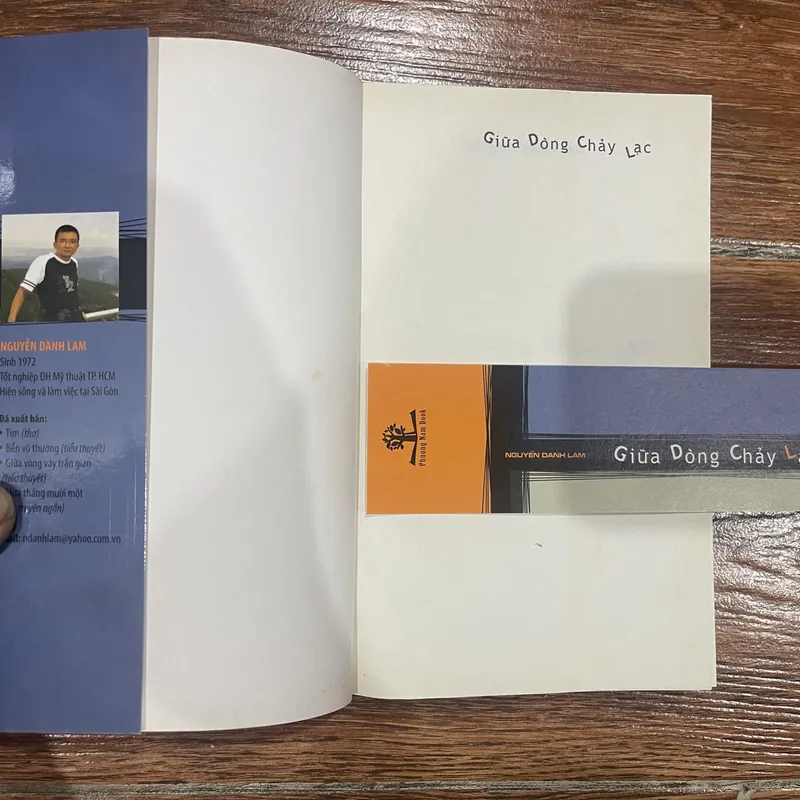 Giữa dòng chảy lạc - Nguyễn Danh Lam (8) 593315