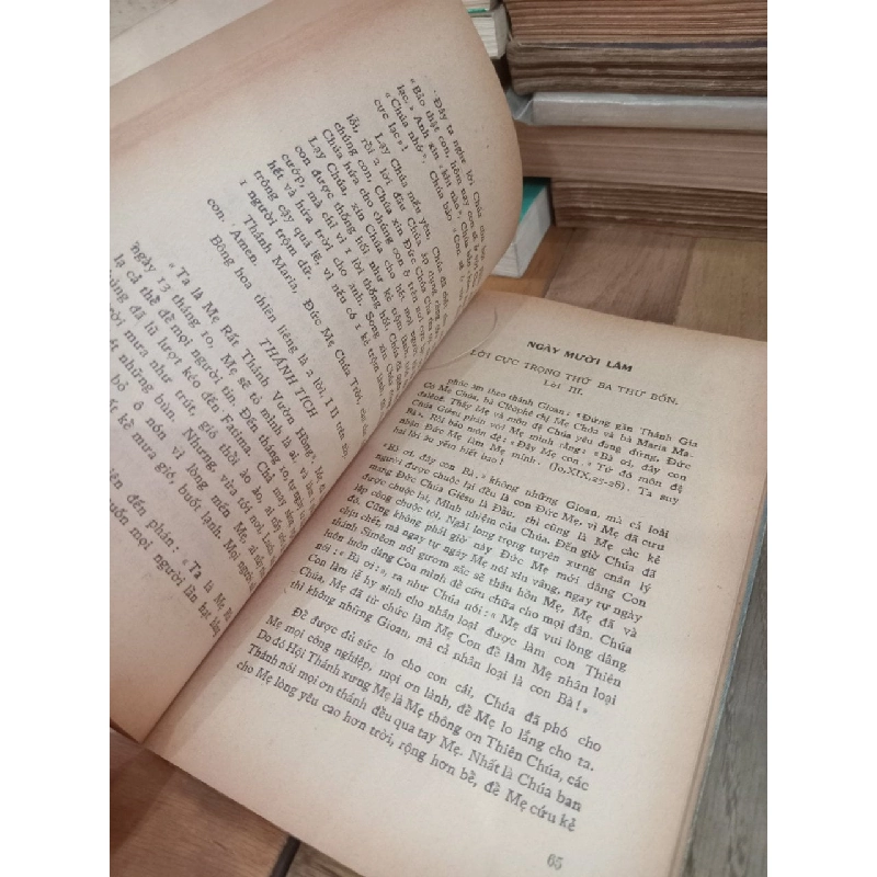 Sách tháng vườn hồng: Đức Mẹ Maria - Linh mục J.M. Phạm Thanh Nhân 934788