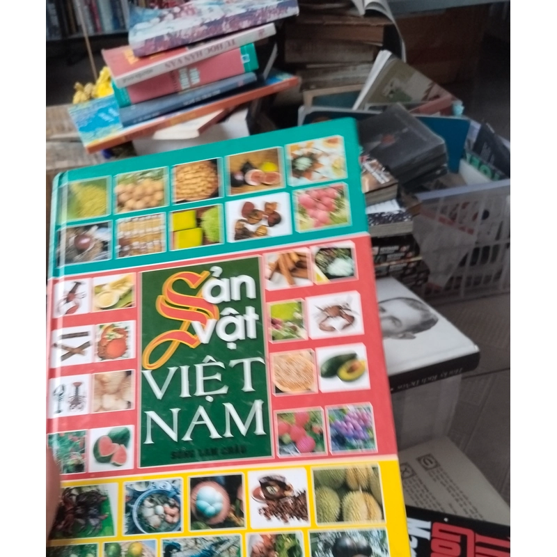 Sản Vật Việt Nam  522638