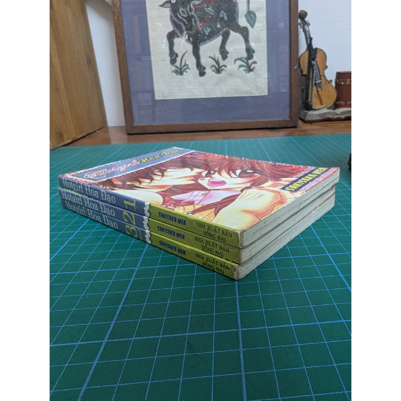 Truyện Tranh Hot Girl Hoa Đạo - Sakisaka Mea 533438