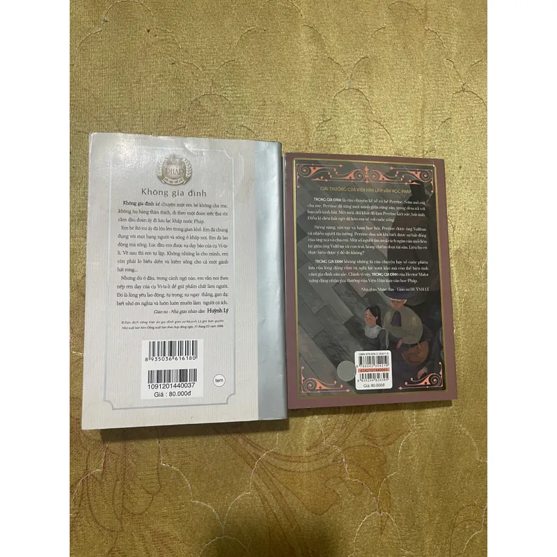 COMBO KHÔNG GIA ĐÌNH+TRONG GIA ĐÌNH- HECTOR MALOT 559426