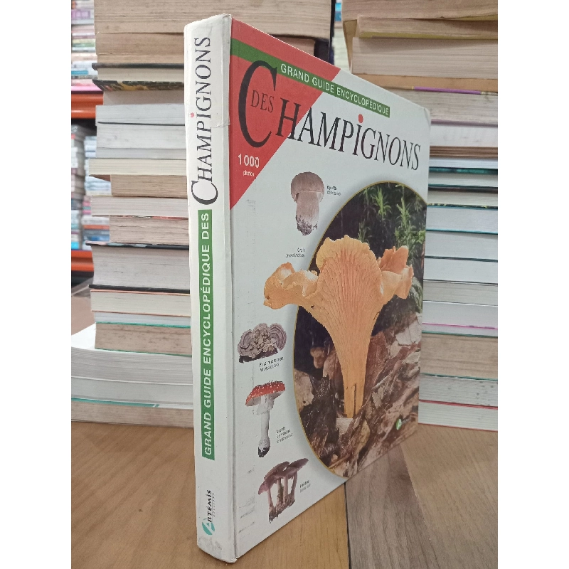 Grand guide encyclopédique des Champignons 712093