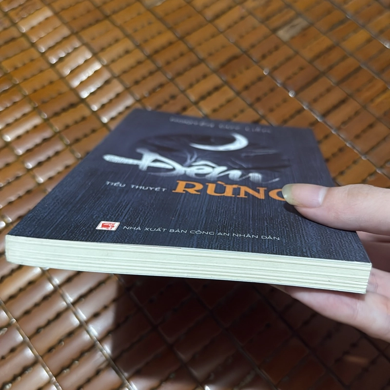 Đêm rừng - Nguyễn Duy Liễm  531626