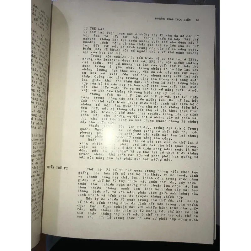 Cải tiến giống lúa  606080