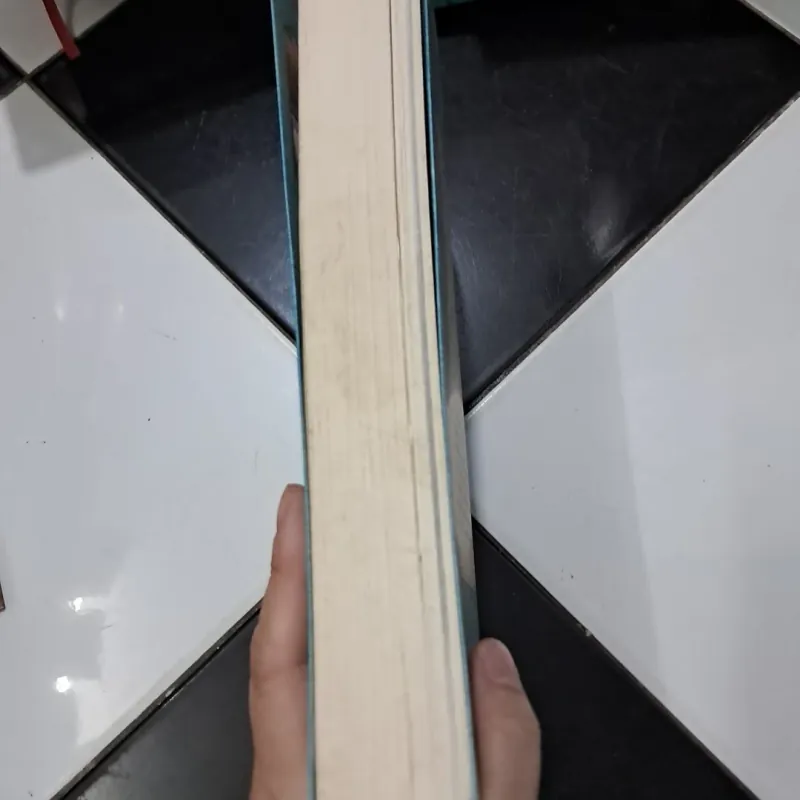 Lịch sử Việt Nam 1003568