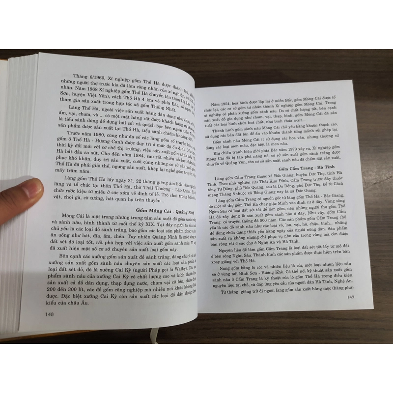 Gốm Việt Nam kỹ thuật và nghệ thuật - Trần Khánh Chương 549132