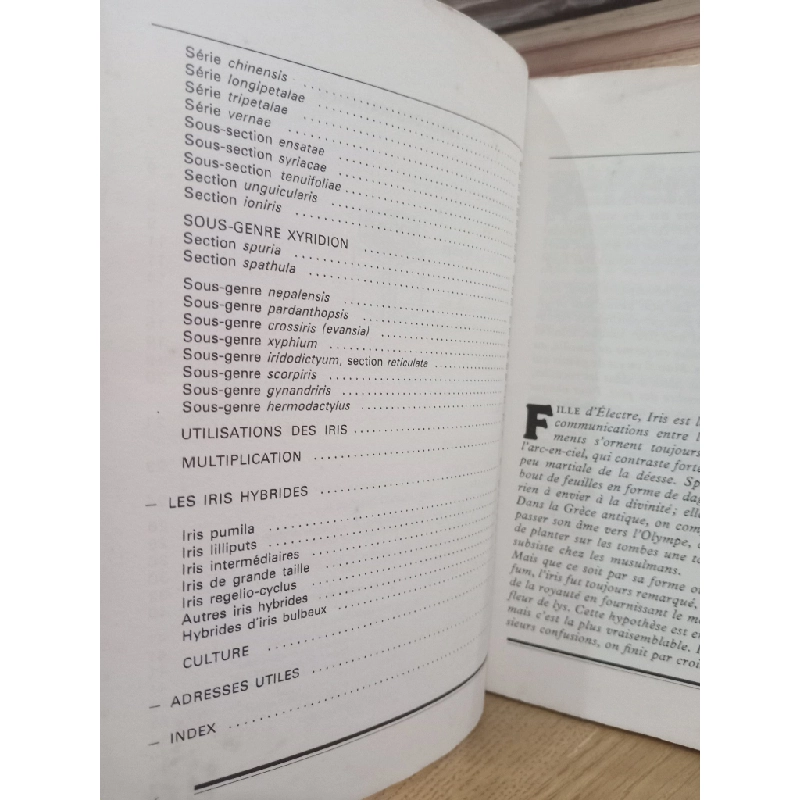 Le jardin d'iris - Alain Richert 541119