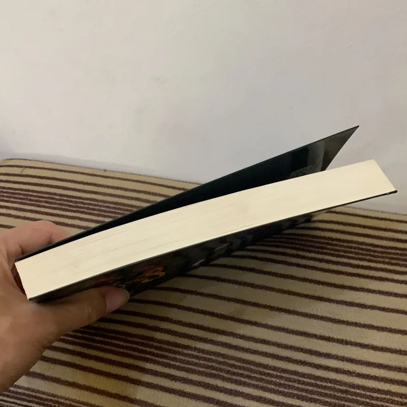 Chiến binh cầu vồng  1025817