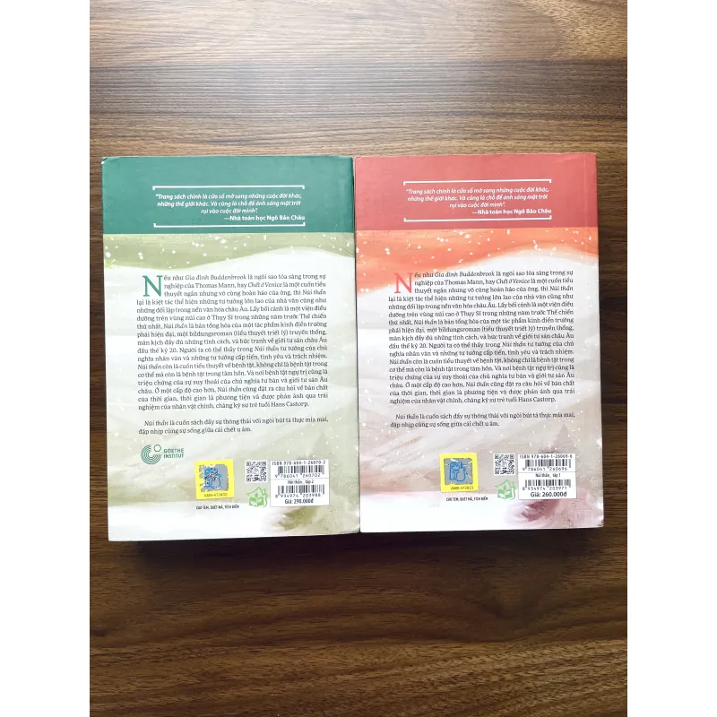 Núi Thần - Thomas Mann 1005483