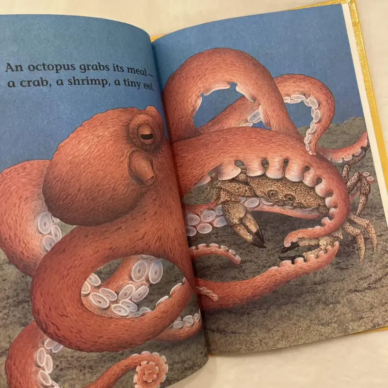 ✨𝑶𝒄𝒕𝒐𝒑𝒖𝒔 𝑼𝒏𝒅𝒆𝒓 𝑻𝒉𝒆 𝑺𝒆𝒂✨ sách cũ ngoại văn, Early Readers 589226