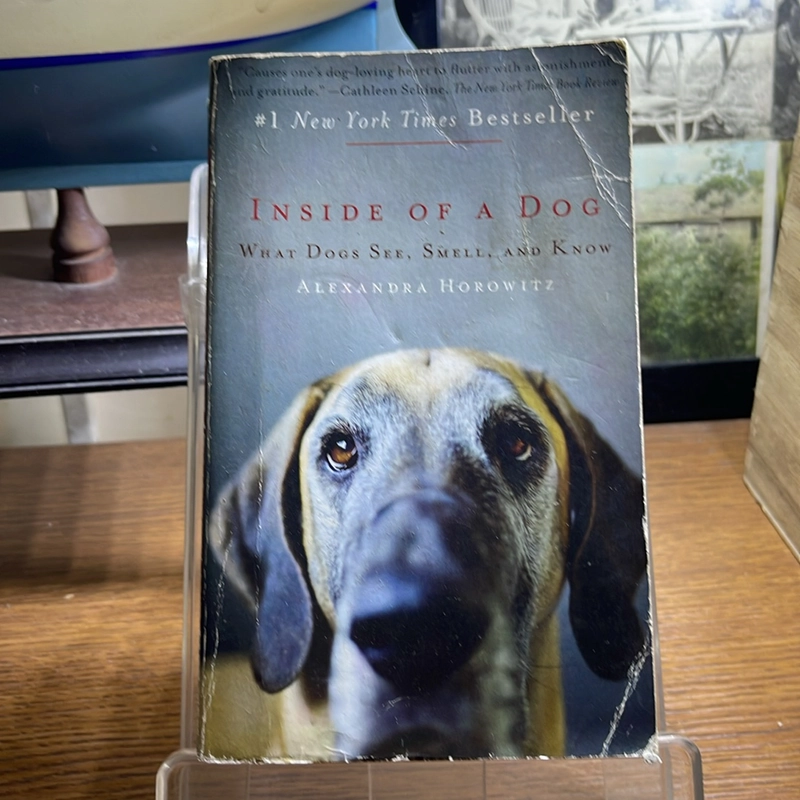 Inside of a dog Alexandra Horowitz 521160