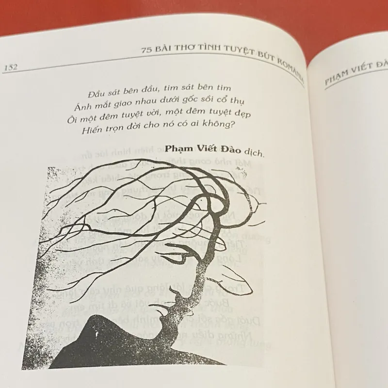 75 bài thơ tình tuyệt bút Romanie 603349