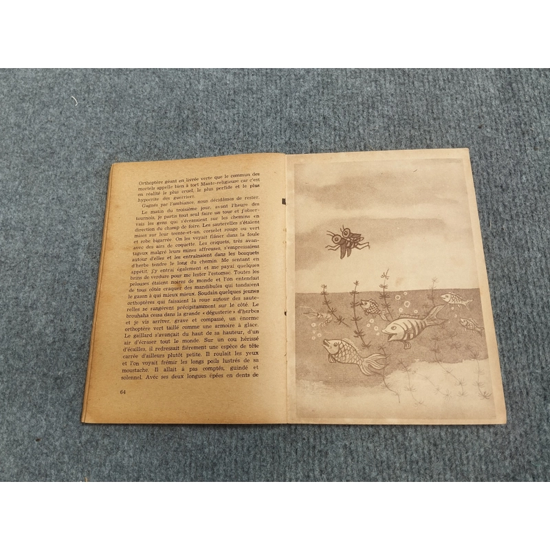 LES AVENTURES DE GRILLON - TO HOAI 472261