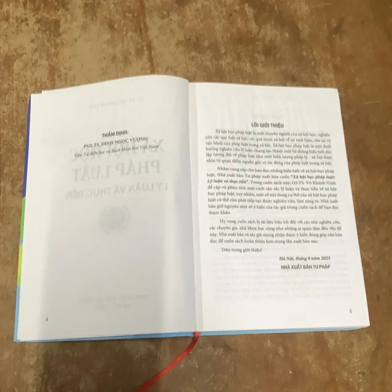  XÃ HỘI HỌC PHÁP LUẬT : LÝ LUẬN VÀ THỰC TIỄN- GS.TS. VÕ KHÁNH LINH 761911