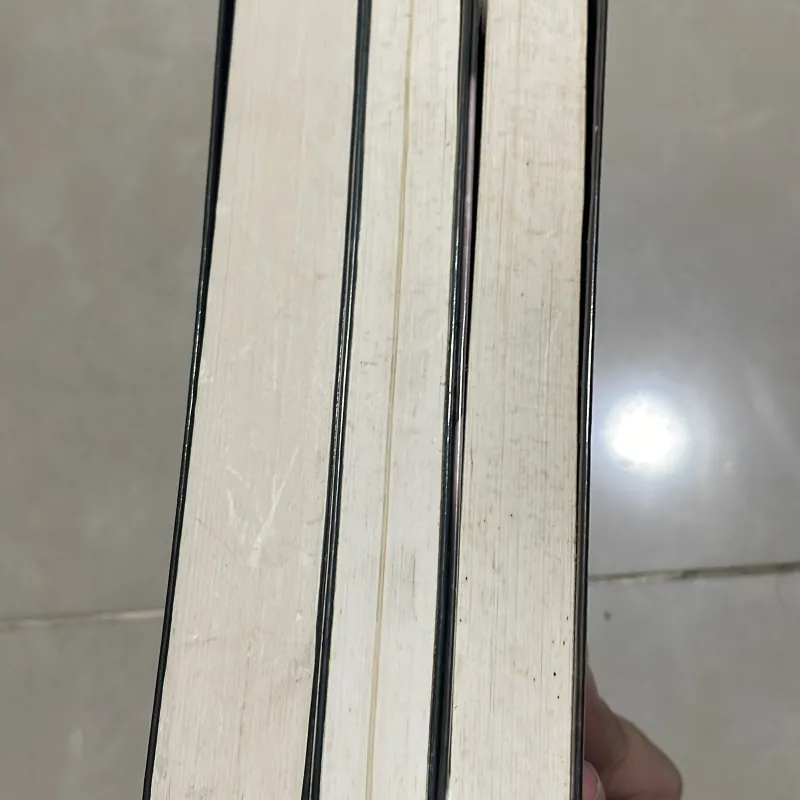 Series Sức mạnh hắc ám - Kelly Armatrong 1020111