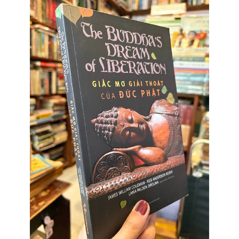Giấc mơ giải thoát của Đức Phật - Nhiều tác giả 129000