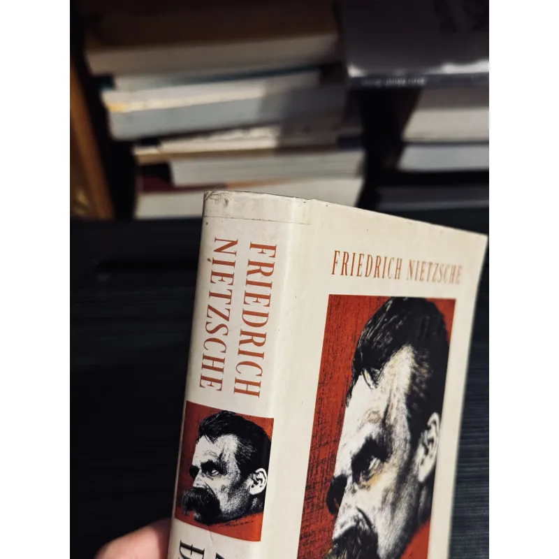Combo Nietzche 1047078