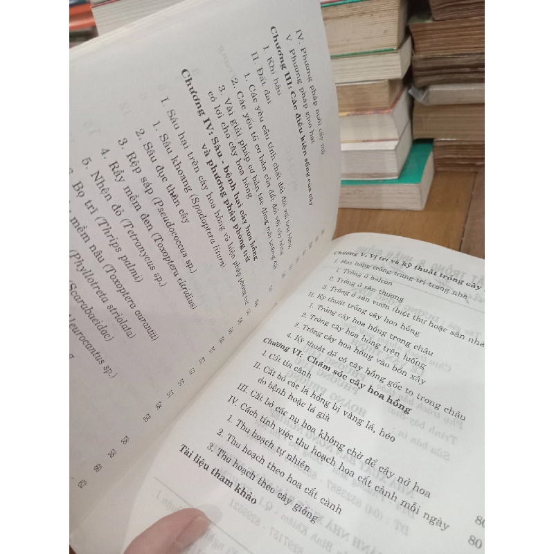 Kỹ thuật trồng & nhân giống cây hoa hồng - Dương Công Kiên 933430