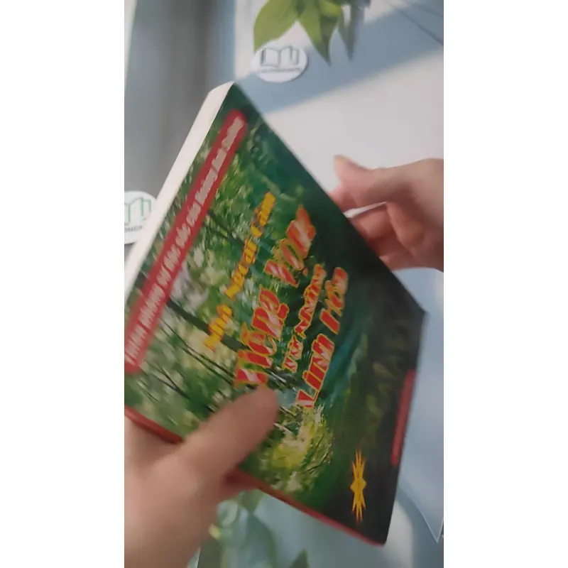 Tiếng Vọng Từ Những Linh Hồn - Hoàng Anh Sướng 928519