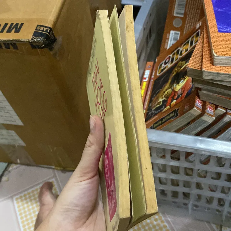 Trại hoa vàng 1,3 716568