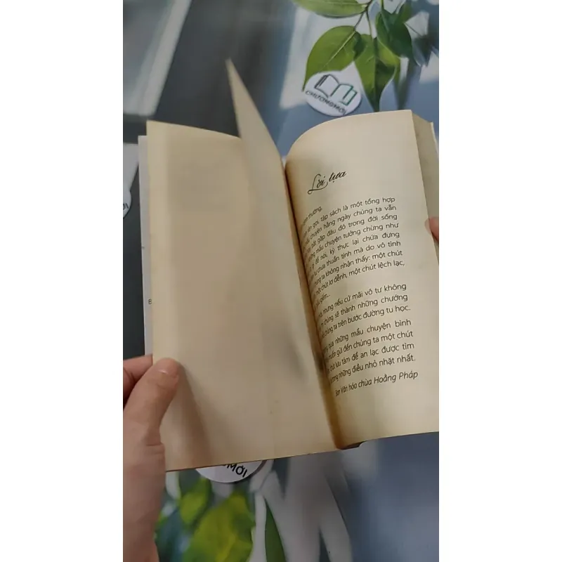 Chuyện Bình Thường - Thích Chân Tính 776106