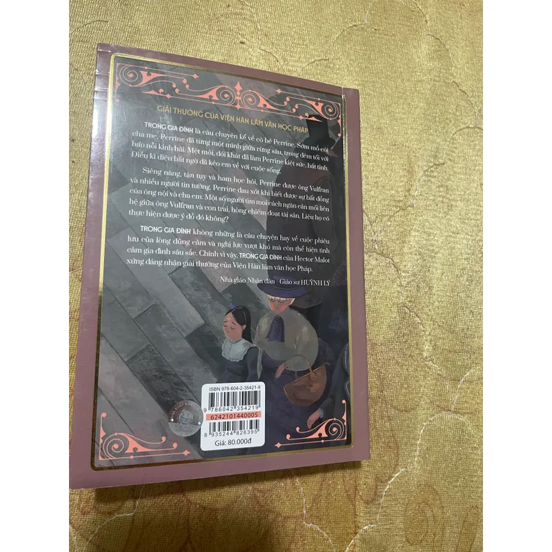 COMBO KHÔNG GIA ĐÌNH+TRONG GIA ĐÌNH- HECTOR MALOT 559426