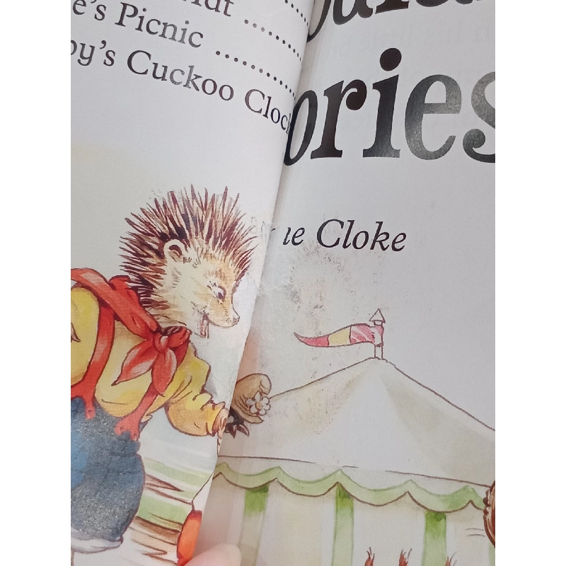 Woodland Stories 993570