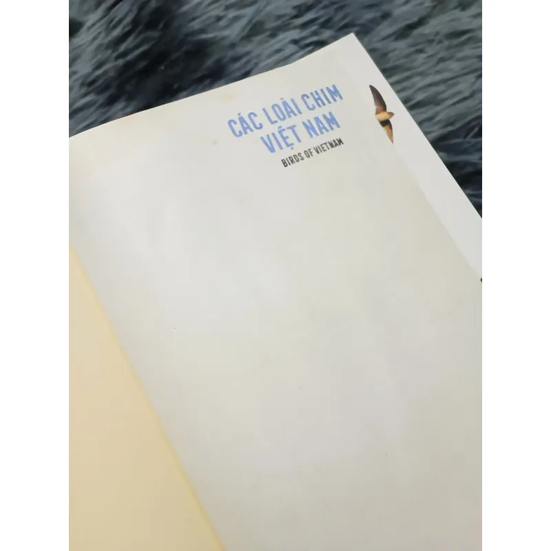 Các loài chim Việt Nam (Lê Mạnh Hùng) 736184