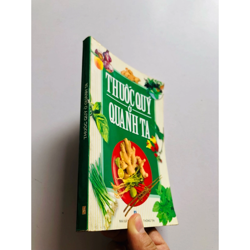 THUỐC QUÝ QUANH TA 503452