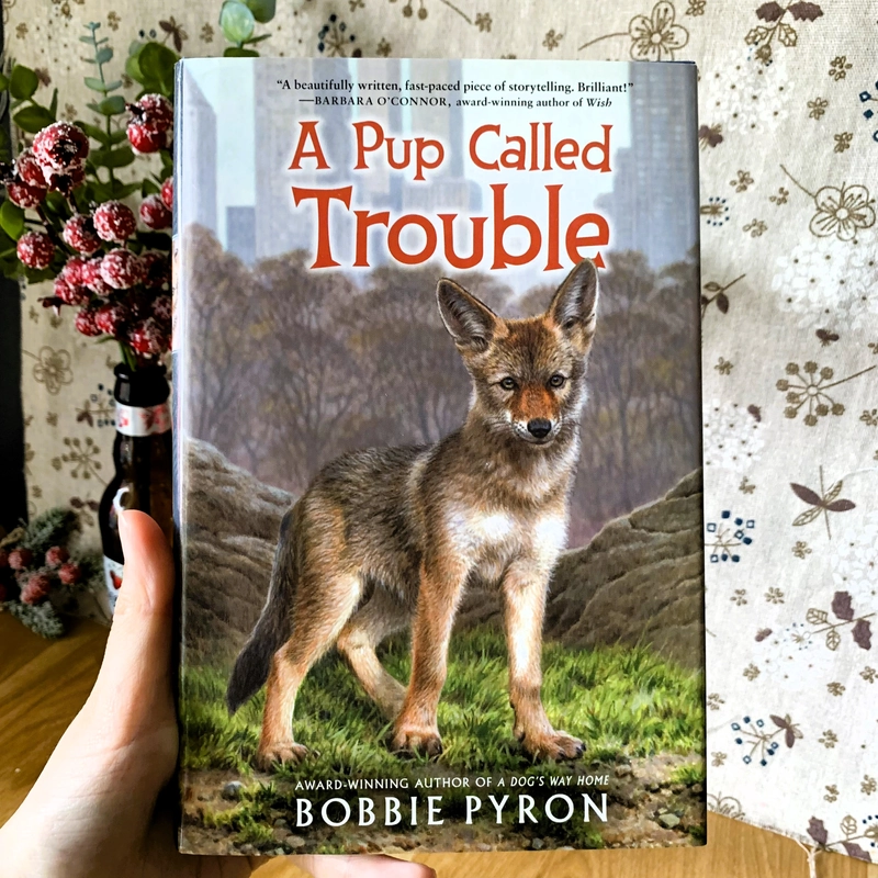 Sách ngoại văn A Pup Called Trouble, Used, Bìa cứng, Fiction For Young Adult 446629