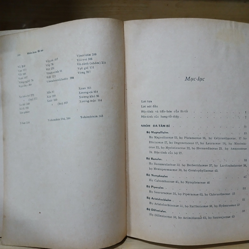 HIỂN HOA BÍ TỬ (XB 1975) - PHẠM HOÀNG HỘ 543670