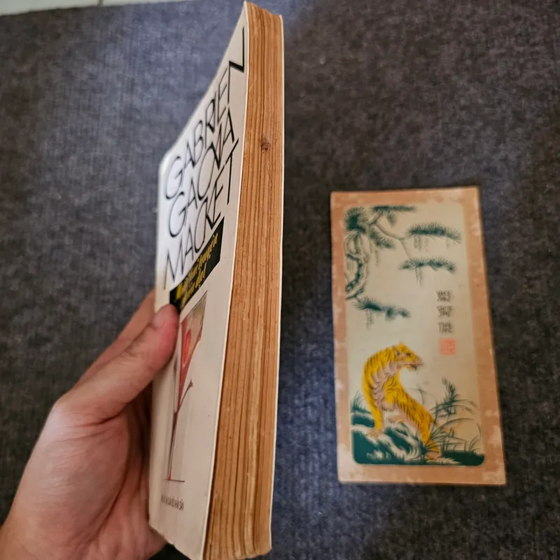 Mười hai truyện phiêu dạt - Marquez 736213