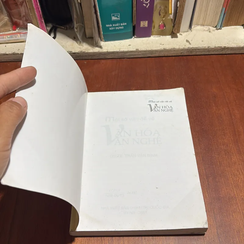 II Văn Hoá: Một Số Vấn Đề Về Văn Hoá Văn Nghệ - GS.TS. Trần Văn Bính - 2007 1012883