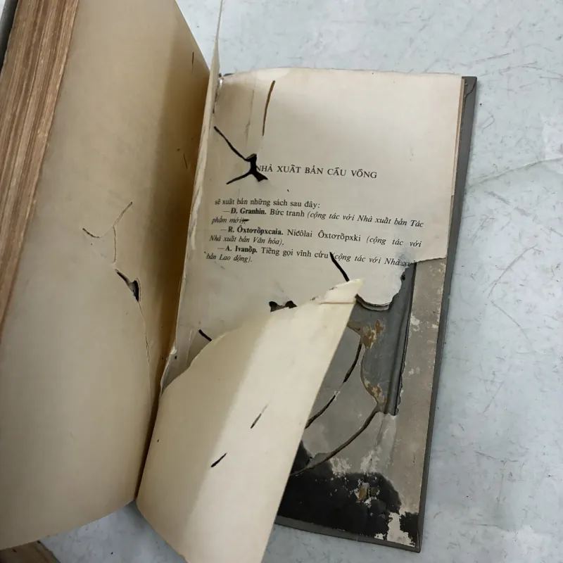 Và nơi đây bình minh yên tĩnh - tên anh chưa có trong danh sách 1024662