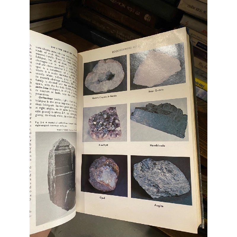 Earth Science: The world we live in 706817